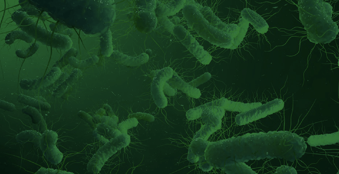 PharmNXT Biotech