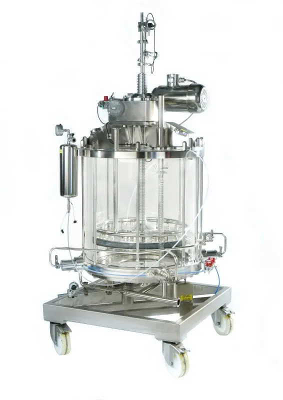 InPlace™ Chromatography Column